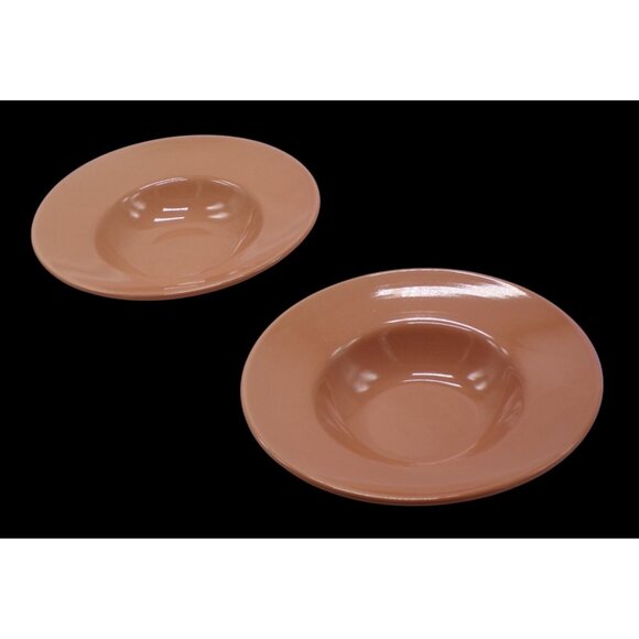 VHTF Pier 1 Imports Nutmeg Spice Wide Rim 9" Soup Salad Bowls Set-4 *RARE EUC* - Picture 6 of 10